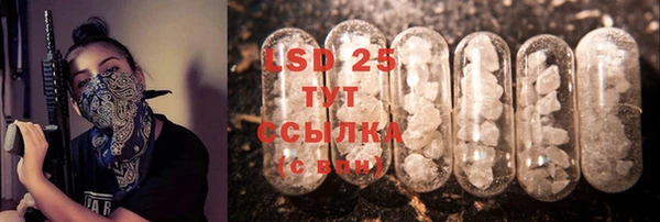 сатива Армянск