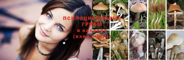 гашиш Аркадак